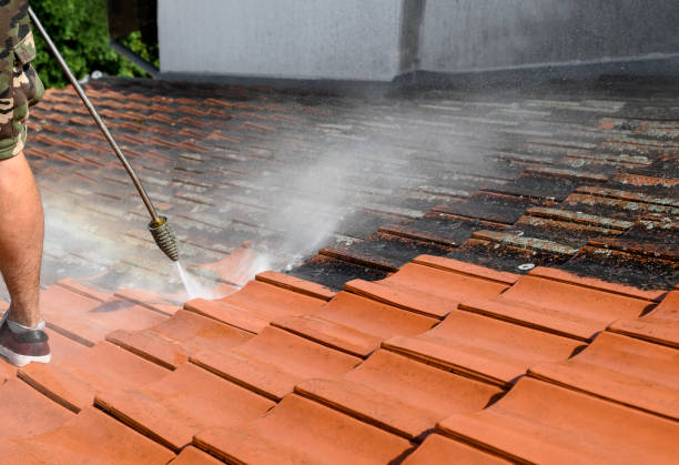 Best Local Pressure Washing Services  in Marina Del Rey, CA