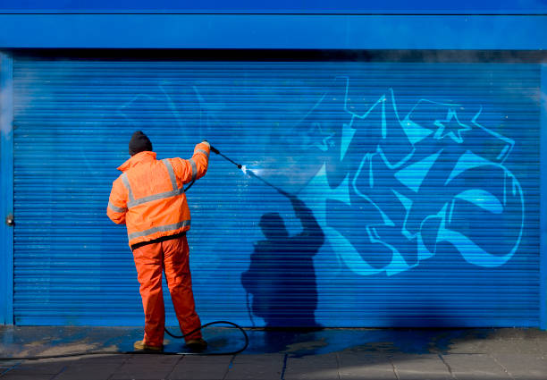 Best Residential Pressure Washing Services  in Marina Del Rey, CA
